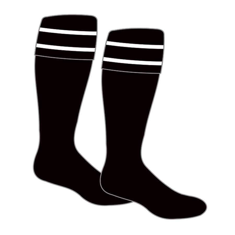 GSA-Socks-2025